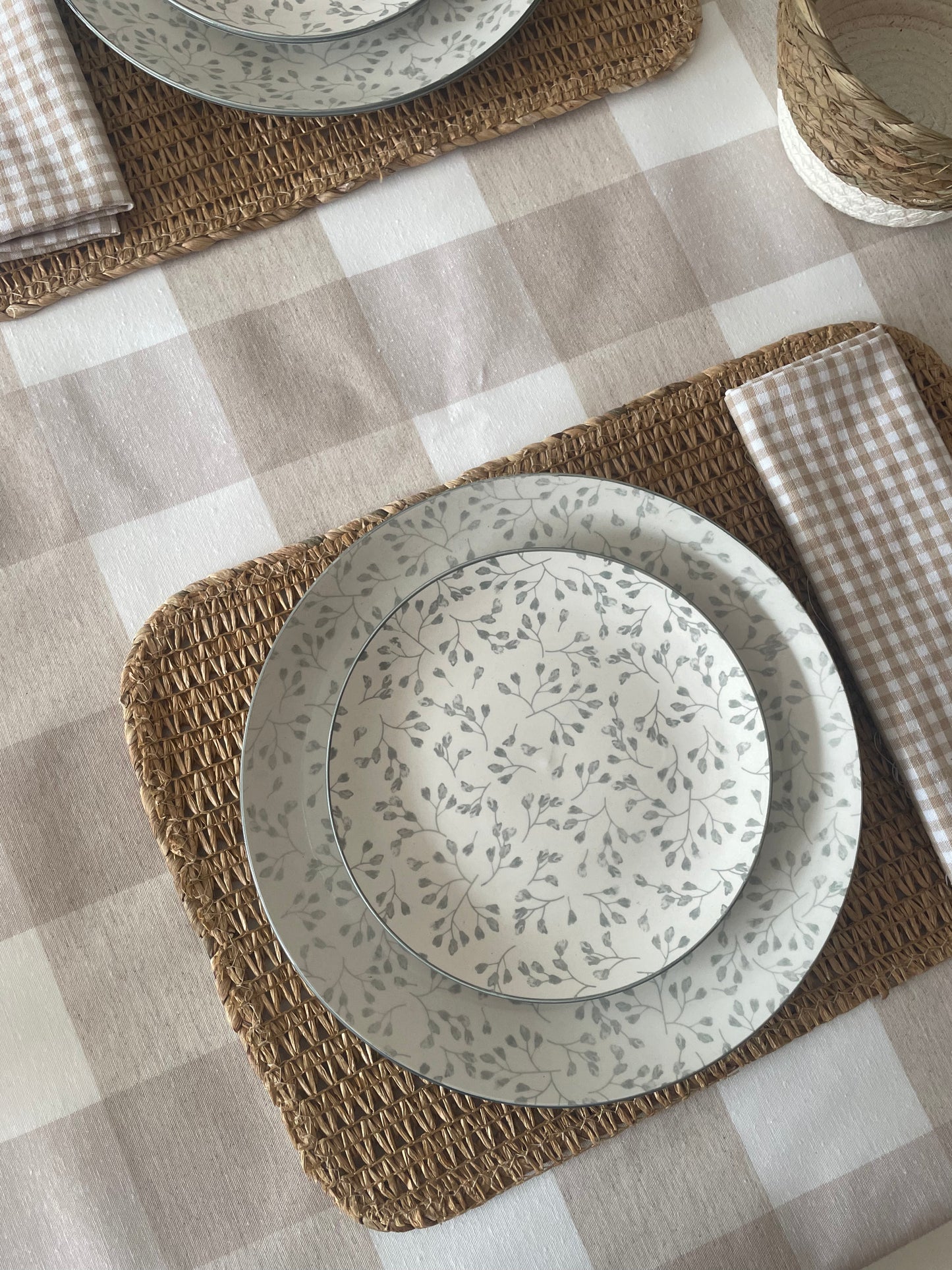 PLATO VEGET